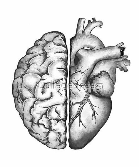 Brain Heart Drawing, Half Brain Tattoo, Heart And Brain Drawing, Half Heart Half Brain Tattoo, Brain And Heart Drawing, Half Heart Half Brain, Brain And Heart Tattoo, Medical Tattoo Ideas, Brain Drawings