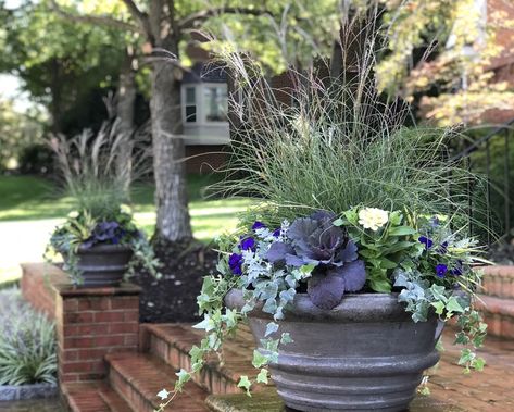 Fall Planters, Container Gardens & Window Boxes — Contained Creations Fall Pansies Containers, Boxwood Centerpiece, Fall Planter Ideas, Container Arrangements, Front Door Patio, Fall Window Boxes, Fall Container Gardens, Ornamental Cabbage, Fall Containers