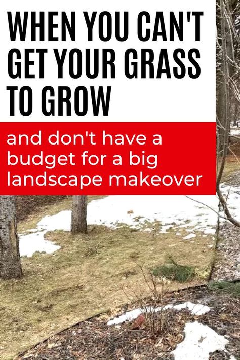 If you can't get your front lawn to grow grass then you'll love this budget friendly front yard landscaping idea. Easy DIY gravel path for your front yard. Increase curb appeal with this landscaping idea on a budget. No Grass Front Yard Ideas, No Grass Yard Ideas, No Grass Yard, Big Landscape, Diy Upholstery Cleaner, Small House Diy, Increase Curb Appeal, Vintage Hutch, Garden Goddess