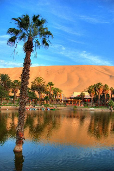 Oasis en medio del desierto de Ica Huacachina, Ica - Perú Huacachina Peru, Desert Vacation, Peru Beaches, Peru Travel Guide, Deserts Of The World, Sand Surfing, Desert Life, Visit Egypt, Peru Travel