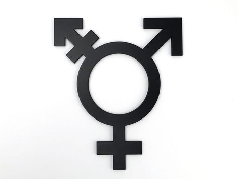 Black Matte Paint, Gender Neutral Bathroom, Floating Acrylic Frame, Custom Backsplash, Neutral Bathroom, Entryway Signs, Restroom Sign, Toilet Sign, Toilet Room