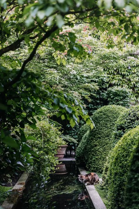 European Gardens, Herringbone Brick, Hill Garden, City Gardens, Small City Garden, Townhouse Garden, Small Courtyard, Brick Paving, Terrace Garden Design