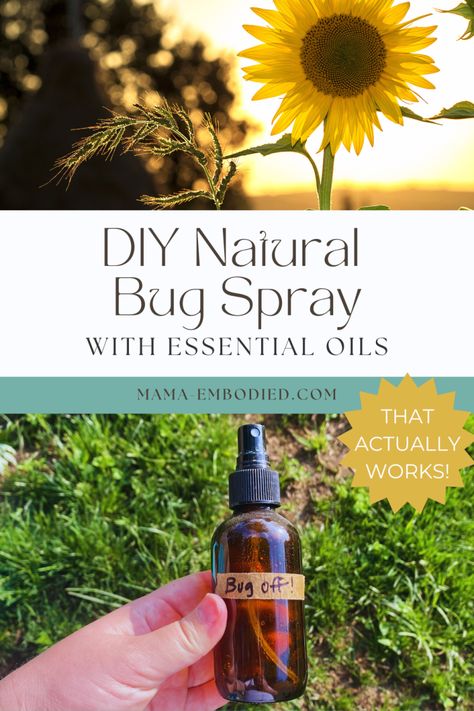 DIY Natural Bug Spray with Essential Oils (That Actually Works!) - Mama Embodied Natural Bug Spray Recipe, Bug Spray Recipe, Blogger Ideas, Natural Bug Spray, Bug Off, Natural Insect Repellant, Bug Spray, Toxic Chemicals, Cleaners Homemade