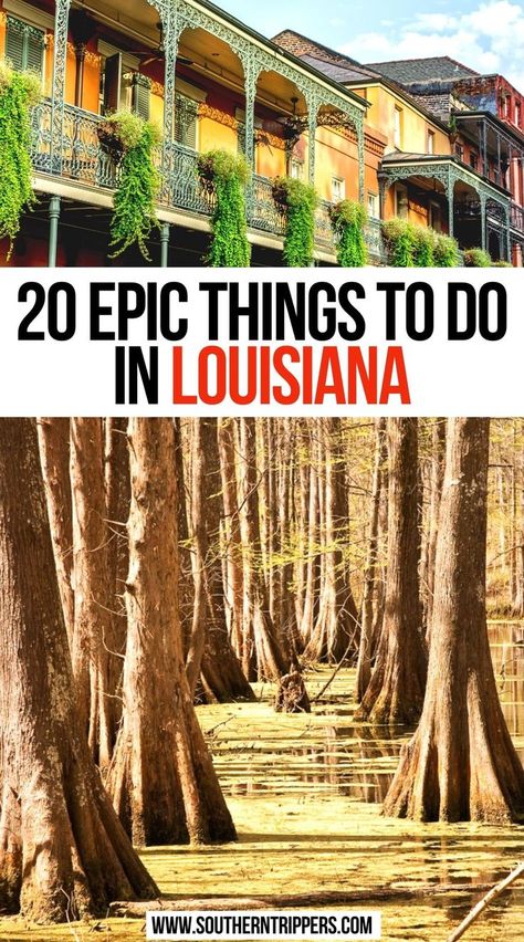 20 Epic Things to do in Louisiana Things To Do In Louisiana, Hiking Locations, Louisiana Vacation, Southern Usa, Vacation 2024, Louisiana Travel, Southern States, Family Hiking, Hiking Spots