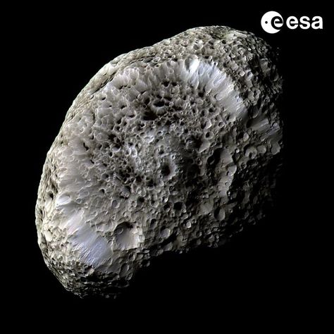 The subject of this image bears a remarkable resemblance to a porous sea sponge, floating in the inky black surroundings of the deep sea. It is actually one of Saturn’s outer moons, Hyperion, seen in incredible detail by the international Cassini spacecraft in 2005. Image: NASA/JPL/Space Science Institute Nasa Solar System, Cassini Spacecraft, Saturns Moons, Astronomy Facts, Astronomy Pictures, Space Probe, Moon Surface, Space Facts, Nasa Jpl