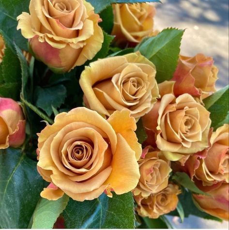 Bulk Flowers Online | Wholesale Flowers