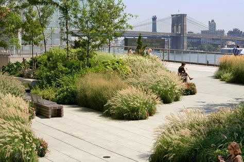 Park designed by Ken Smith. Contemporary Landscape Design, Landscape And Urbanism, Landscape Architecture Design, Rooftop Garden, Landscaping Tips, Parking Design, Roof Garden, Green Roof, Landscape Projects