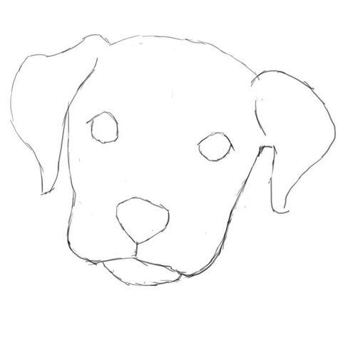 Learn How to Draw a Dog in Photoshop - Bright Hub How To Draw A Dog Head, How To Draw A Simple Dog, Dog Face Drawing Simple, How To Draw Dog, How To Draw A Dog, Dog Head Drawing, Cute Dog Drawings, Beagle Clipart, Drawing A Dog