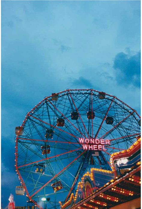 Wonder Wheel Wonder Wheel, Fair Rides, Drive In Movie, Top Beauty, Celebrities Humor, Big Top, Carousel Horses, Big Wheel, Summer Memories