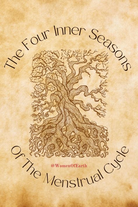 The 4 menstrual cycle phases! Explore insights, tips, and guidance to better understand and embrace each stage of your cycle with Women of Earth 🌺 Stages Of Menstrual Cycle, Women Of Earth, Women Cycle, Cycle Stages, Cycle Phases, Menstrual Cycle Phases, Wheel Of Life, Cycling Women, The 4