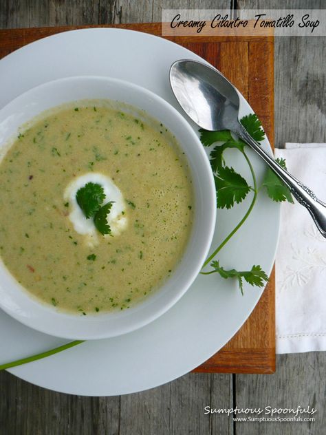 Creamy Cilantro Tomatillo Soup ~ Sumptuous Spoonfuls #soup #recipe Tomatillo Soup, Cilantro Soup, Tomatillo Recipes, Paleo Chili, Cafe Rio, Soup And Stew, Ranch Seasoning, Garden Recipes, Jack Daniels