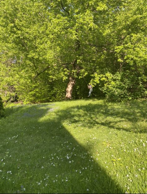 Flowery Meadow, Old Tree, Nature Background, Nature Backgrounds, Camera Roll, Country Roads, In This Moment, Nature