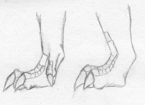 Image result for dragon feet drawings Dragon Talon Reference, Snake With Legs Drawing, Dinosaur Feet Drawing, How To Draw Dragon Talons, Dragon Talons Reference, Dragon Paws Reference, Dragon Feet Drawing Reference, Sitting Dragon Drawing, Dragon Feet Drawing