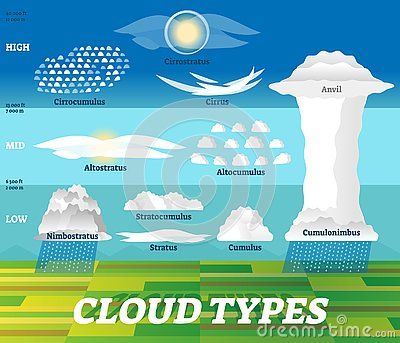 Nimbostratus Clouds, Stratus Clouds, Cirrostratus Clouds, Cloud Types, Cloud Outline, Circus Background, Cirrus Cloud, Cloud Type, I Love Science