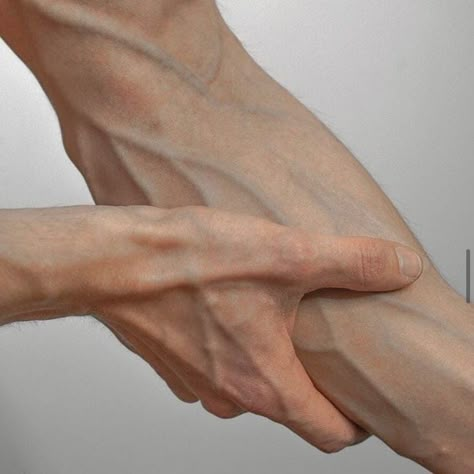 Hand Veins, Body Photography, Bad Boy Aesthetic, Hand Reference, Hand Pictures, Pretty Hands, Foto Art, Body Reference, Anatomy Reference