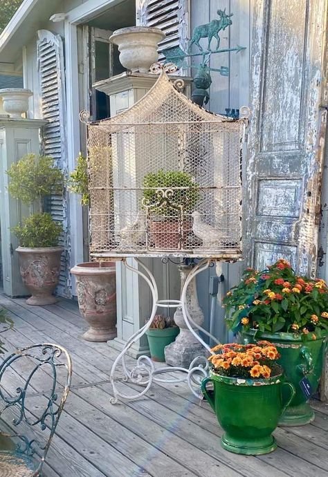 Bird Cage Aesthetic, Birdcage Decor Ideas, Outdoor Bird Cage, Cage Aesthetic, Planter Lights, Gothic Gardens, Vintage Bird Cage Decor, Birdcage Planter, Vintage Birdcage