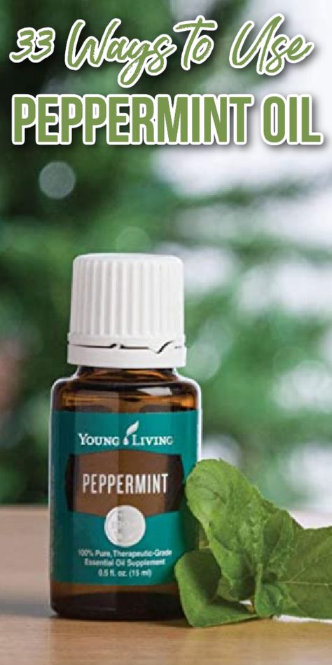 peppermint essential oil in a bottle Uses For Peppermint Essential Oil, Peppermint Oil For Fever, Peppermint Oil For Nausea, Peppermint For Nausea, How To Make Peppermint Oil, Peppermint Oil Uses Pest Control, Peppermint Essential Oil Blends, Peppermint Essential Oil Recipes, Peppermint Uses