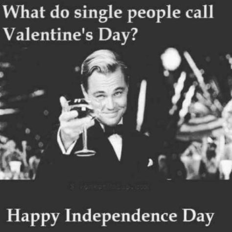 Valentines Day Funny Meme, Funny Valentine Memes, Happy Valentines Day Funny, Valentines Quotes Funny, Singles Awareness Day, Valentines Memes, Happy Valentine Day Quotes, Valentines Day Memes, Single Memes