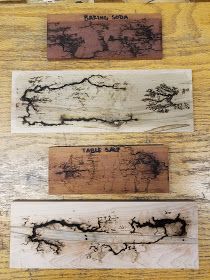 Mad Lab 5: Experiments with Lichtenberg Figures and Different Electrolyte Solutions Burning Wood With Electricity, Wood Panneling, Fractal Burning, Lichtenberg Figures, Wood Projects For Kids, Wood Backsplash, Different Types Of Wood, Wood Burning Art, Kids Wood