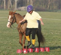 Mounted Games Horses, Equine Therapy Activities, Horse Riding Games, Horse Education, Horse Socks, Forest Games, Pony Games, Christmas Poses, Horse Lessons