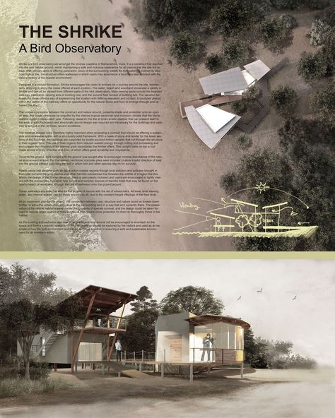 The Shrike | Landscape Design Project Nature Observatory Architecture, Observatory Architecture, Bird Observatory, Coastal Environment, Design Challenge, Design Competitions, Birdwatching, Environment Design, Hyde Park