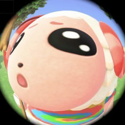 Pfp Animal Crossing, Animal Crossing Pfp, Fisheye Pfp, Not Aesthetic, Animal Crossing Funny, Animal Crossing Memes, Animal Crossing Characters, Animal Crossing Villagers, Animal Crossing Pocket Camp