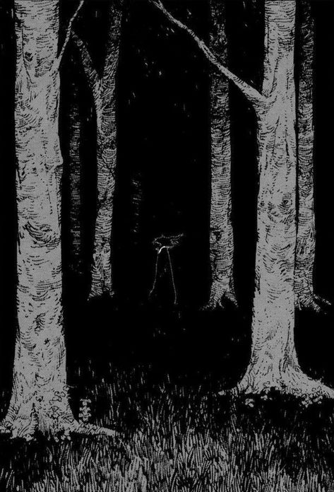 Dark Forest Aesthetic, Forest Drawing, Horror Drawing, Dark Tree, Water Drawing, Forest Background, Black And White Sketches, Forest Illustration, Background Drawing