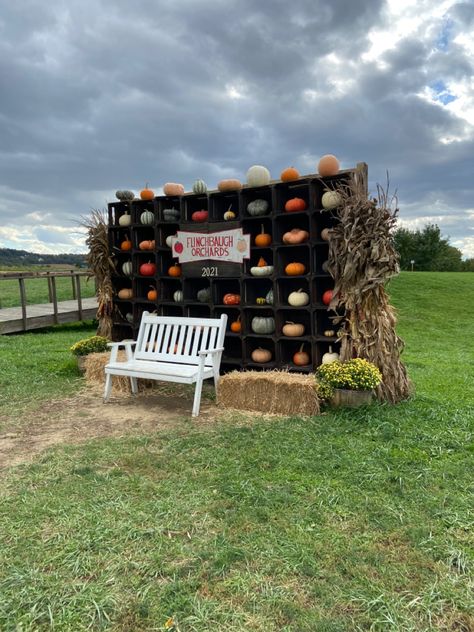 Pumpkin Patch Photo Op Ideas, Pumpkin Patch Decorating Ideas, Farm Thanksgiving, Storage Bed Ideas, Harvest Background, Church Harvest Festival, Modern Storage Bed, Bed Storage Ideas, Agritourism Farms