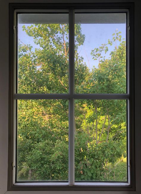 Sunny Window Aesthetic, Picture Through A Window, Pictures Of Windows, Green Morning Aesthetic, Sunny Green Aesthetic, Open Window Aesthetic, Window View Aesthetic, Comp Sci, Aesthetic Window