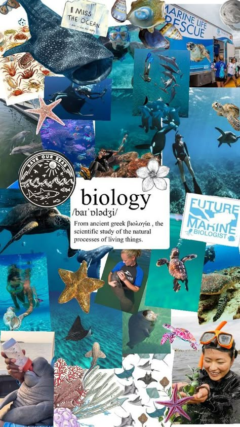 Check out hp830023's Shuffles Marine Biology🌊🐬🐋🪼 #sealife #ocean #marinebiology #wallpaper #seaturtles Biology Jobs, Oceanography Marine Biology, Wallpaper Preppy, Biology Major, Ocean Projects, My Future Job, Ocean Aesthetic, Biology Notes, Marine Biologist