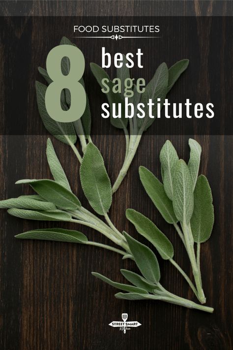 What are the best sage substitute options? Learn which herbs can create similar flavors to sage in your recipes and how to properly substitute. Types Of Sage, Garlic Ginger Chicken, Sage Plant, How To Dry Sage, Thanksgiving Stuffing, Food Substitutions, Cooking 101, Poultry Seasoning, Sage Leaves