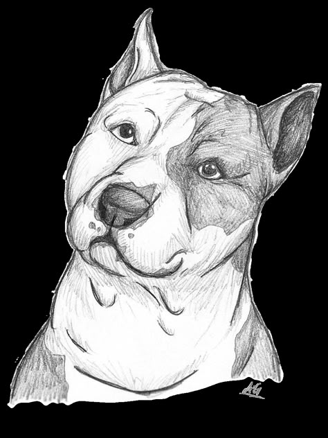 Para my perrito draco Dogs Drawing Sketches, Drawing Animals Realistic, Drawings Of Puppies, Realistic Dog Drawing, Animal Art Drawing Sketches, Pitbull Drawing, Dog Sketches, Pitbull Art, Animal Drawings Sketches