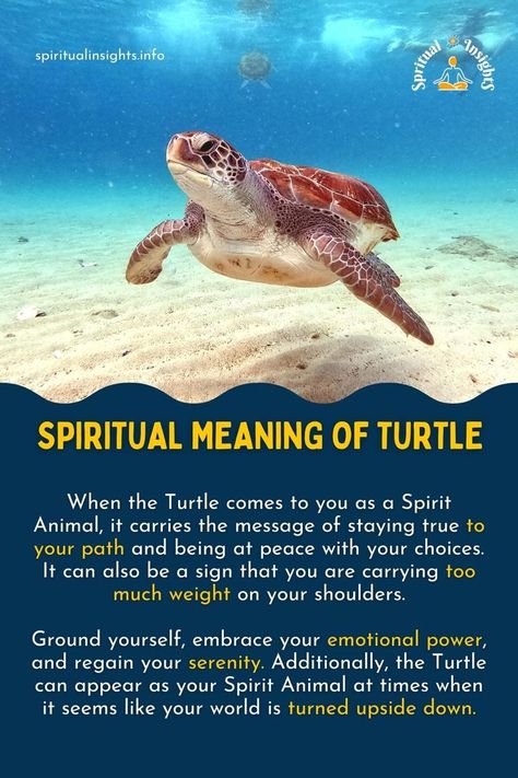 Turtle Symbolism Meaning, Spirit Animal Turtle, Tortoise Spiritual Meaning, Turtle Totem Spirit Animal, Turtle Spirit Animal Meaning, Spiritual Meaning Of Turtles, Sea Turtle Symbolism, Animals Spiritual Meanings, Turtle Inspiration Quotes