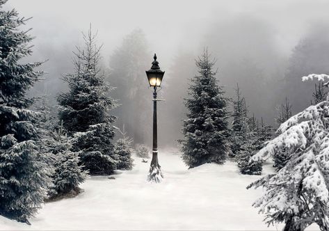 Snowy Lamp Post, Narnia Landscape, Narnia Aesthetic Wallpaper, Narnia Forest, Narnia Winter, Narnia Room, Narnia Lamp Post, Winter Tattoo, Snowy Woods