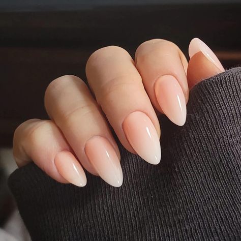 Baby Boomers Nails, Unghie Sfumate, Casual Nails, Soft Nails, Oval Nails, Baby Boomer, Dip Powder Nails, Dipped Nails, Classy Nails