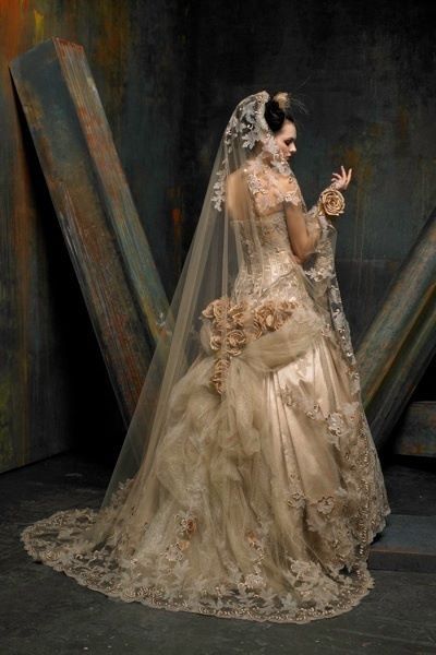 Gorgeous... Technically this is a wedding dress, but I'm loving the rustic lace and bustle combination and would love to see a steampunk version of this!! Nice Photography, Victorian Wedding, Stunning Wedding Dresses, Wedding Gowns Vintage, A Wedding Dress, Vintage Gowns, Wedding Dress Couture, Couture Wedding, Vintage Bride