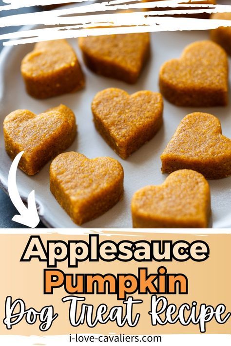 If you're looking for a nutritious treat for your pup, you need to try our homemade pumpkin applesauce dog treats. This easy pumpkin dog treat recipe, made with pumpkin puree and without peanut butter, creates a delicious snack. These homemade dog treats are simple to make and perfect for a healthy diet. Enjoy making these DIY dog treats with pumpkin that are both tasty and beneficial for your pet. Homemade Dog Treats With Pumpkin And Applesauce, Diy Dog Treats No Peanut Butter, Pumpkin Recipes For Dogs Doggie Treats, Dog Treats Made With Pumpkin Puree, Pumpkin Cat Treats Recipe, Pumpkin Snacks For Dogs, Homemade Dog Pumpkin Treats, Dog Treat With Pumpkin, Dog Pumpkin Recipes