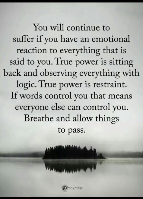 You will continue to suffer if you have an emotional reaction to everything that is said to you. True power is sitting back and observing everything with logic. True power is restraint. If words control you that means everyone else can control you. Breathe and allow things to pass. Now Quotes, Isagenix, E Card, Quotable Quotes, Good Advice, The Words, Great Quotes, True Quotes, Wisdom Quotes