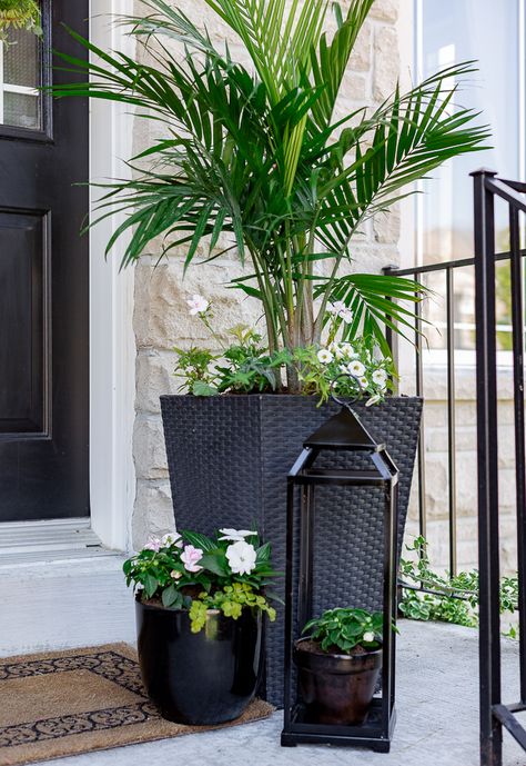 Early Summer Front Porch Winter Porch Pots, Outdoor Planter Ideas, Front Door Planters, Porch Pots, Front Porch Plants, Winter Planters, Landscape Christmas, Front Porch Planters, Door Planter