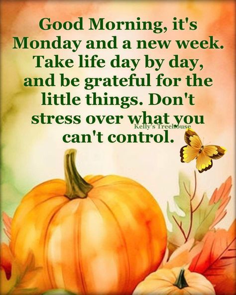 Monday Morning Prayer, Magic Monday, Monday Inspirational Quotes, Happy Monday Morning, Sunday Morning Quotes, Monday Morning Quotes, Good Morning Dear Friend, Fall Quotes, Good Morning Funny Pictures