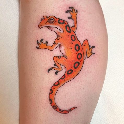 Salamander Tattoo, Tattoo Traditional, Traditional Tattoo, Tattoos, Art