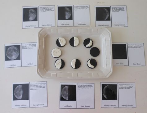 Moon Phases Solar System Unit Study, Solar System Unit, Moon Activities, Montessori Science, Space Unit, Homeschool Supplies, Kindergarten Themes, Montessori Ideas, Phases Of The Moon