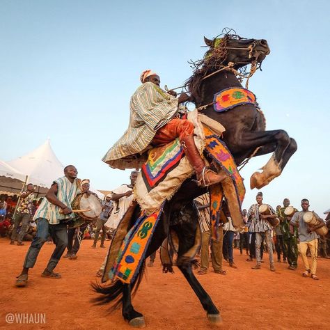 114 Likes, 1 Comments - African Heritage City (@african_heritagecity) on Instagram: “@pureghana ・・・ “A Mamprusi rider from Bawku makes his horse dance to the rhythm of the drummers…” Horse Dance, Black Community, Camel, Horses, Festival, Animals