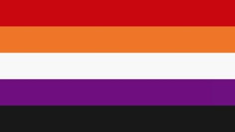 Lesbian flag The Lesbian Flag, Nb Lesbian Flag, Closeted Lesbian Flag, Lesbian Flag Subtle, Sunset Lesbian Flag, Lgbt Flag, Lesbian Flag, Free Tshirt, The Rainbow