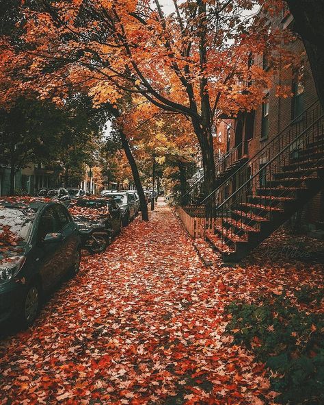 Fall Photo Challenge - 30 Fall Photography Ideas to Give Your Instagram Serious Fall Vibes! - Cassie Scroggins Fall Mood Board, Autumn Scenery, Fall Feels, Trik Fotografi, Fall Pictures, Autumn Cozy, Autumn Aesthetic, Photo Challenge, Fall Wallpaper