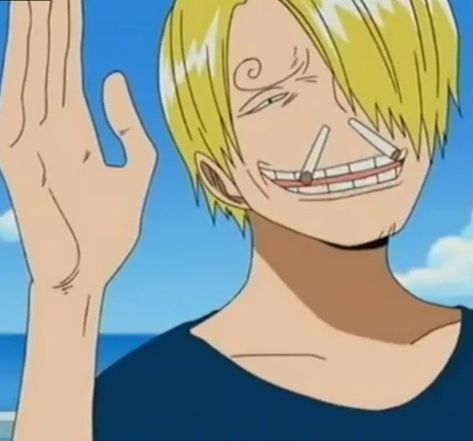 Discord Kitten, Vinsmoke Sanji, Sanji Vinsmoke, One Piece Crew, Out Of Context, Smile Everyday, One Piece Funny, One Piece Images, Meme Faces