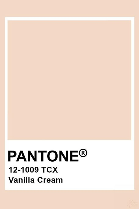 Pantone Vanilla Cream, Pantone Skin Tones, Pantone Cream Shades, Light Orange Pantone, Autumn Pantone, Cream Pantone, Pantone Tcx, Pantone Trends, Nude Color Palette