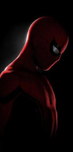 Free download iPhone X Wallpaper Screensaver Background 126 Spiderman 4k Ultra [499x1024] for your Desktop, Mobile & Tablet | Explore 52+ Free Internet Wallpapers Screensavers | Free Wallpaper Internet Explorer, Free Downloadable Wallpapers and Screensavers, Mobile Wallpapers and Screensavers Spiderman Amoled, Amoled Wallpaper Iphone, Spiderman Wallpaper 4k Ultra Hd, Background Spiderman, Spiderman 4k, Amoled Wallpaper, Spring Wallpaper Iphone, Free Android Wallpaper, Marvel Wallpaper Hd