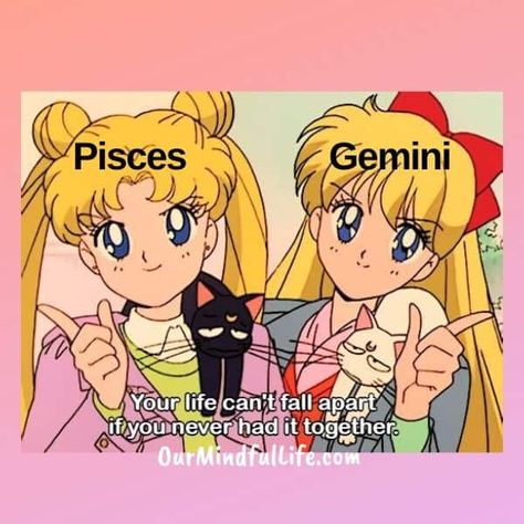 Pisces Memes Funny So True, Gemini Pisces, Pisces Character, Pisces And Gemini, Gemini And Pisces, Gemini Traits, Gemini Life, Zodiac Compatibility, Astrology Gemini