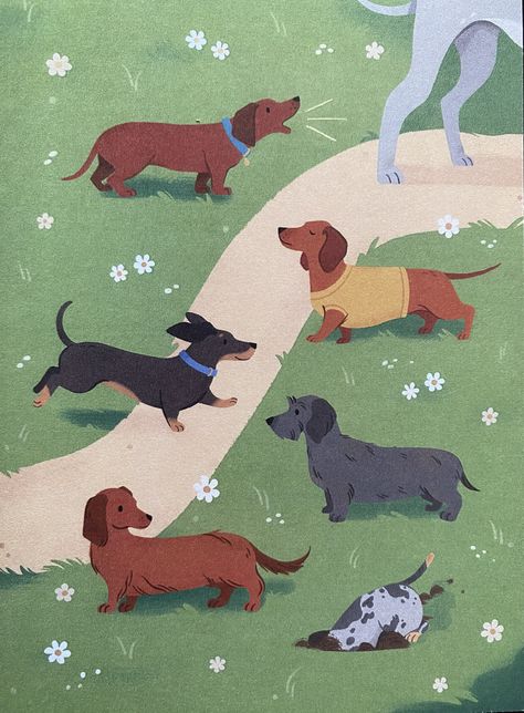 Dachshund Dog Illustration, Daschund Illustration, Dachshund Aesthetic, Dachshund Wallpaper, Arte Dachshund, Dachshund Drawing, Dachshund Illustration, Cocoppa Wallpaper, Dachshund Art